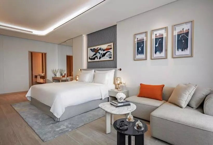 Fotos del hotel The Meydan:  22