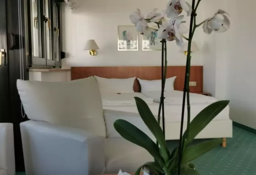 Fotos del hotel Cristal:  17