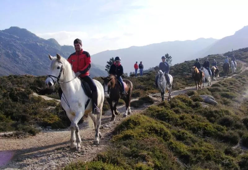 Fotos del hotel Peninsular:  20