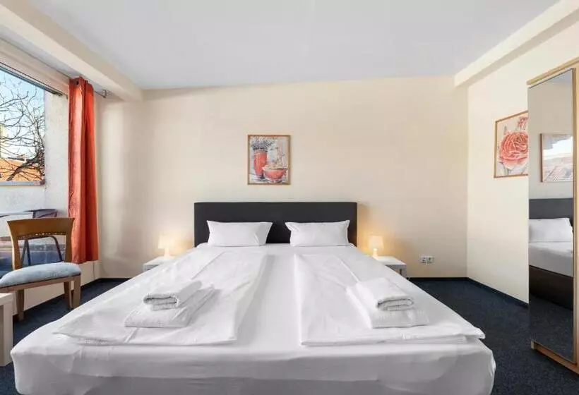 Fotos del hotel Comenius:  11