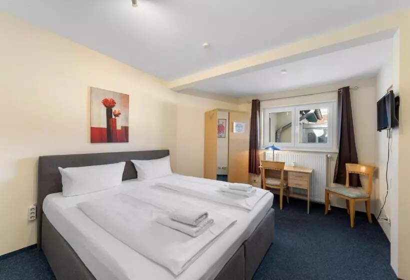 Fotos del hotel Comenius:  1