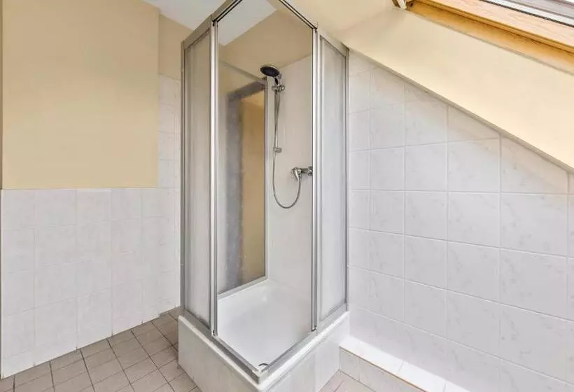 Fotos del hotel Comenius:  3