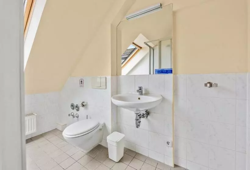 Fotos del hotel Comenius:  7