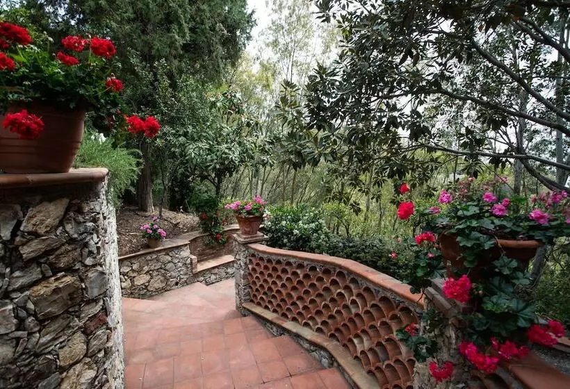 Fotos del hotel Excelsior Palace:  20