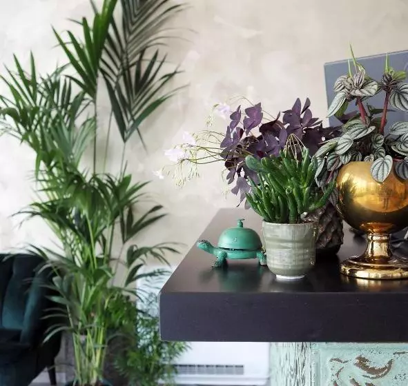 Fotos del hotel Sebel:  9