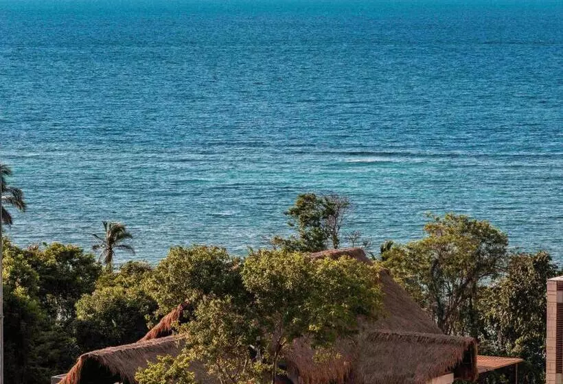 Fotos del hotel Sofitel Barú Calablanca:  10