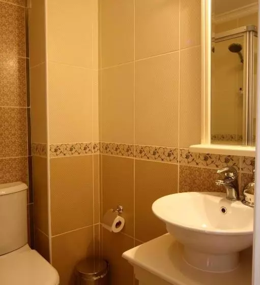 Fotos del hotel Aldem:  16