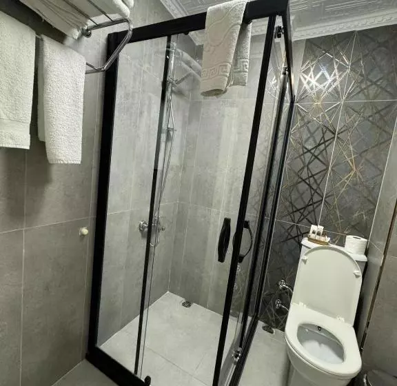 Fotos del hotel Aldem:  18