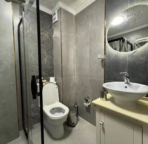 Fotos del hotel Aldem:  4