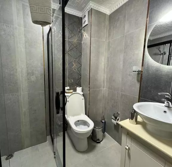 Fotos del hotel Aldem:  8