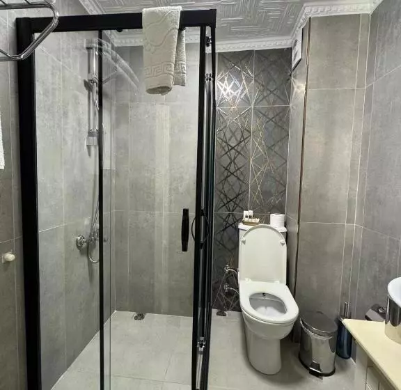 Fotos del hotel Aldem:  10