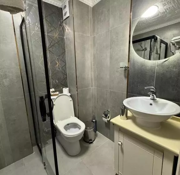 Fotos del hotel Aldem:  12