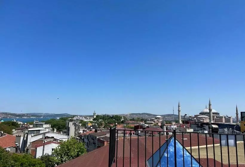 Fotos del hotel Aldem:  9