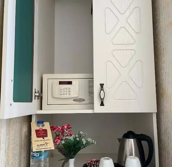 Fotos del hotel Aldem:  3