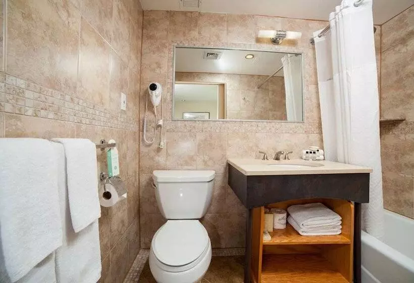 Fotos del hotel Hotel Mulberry:  5