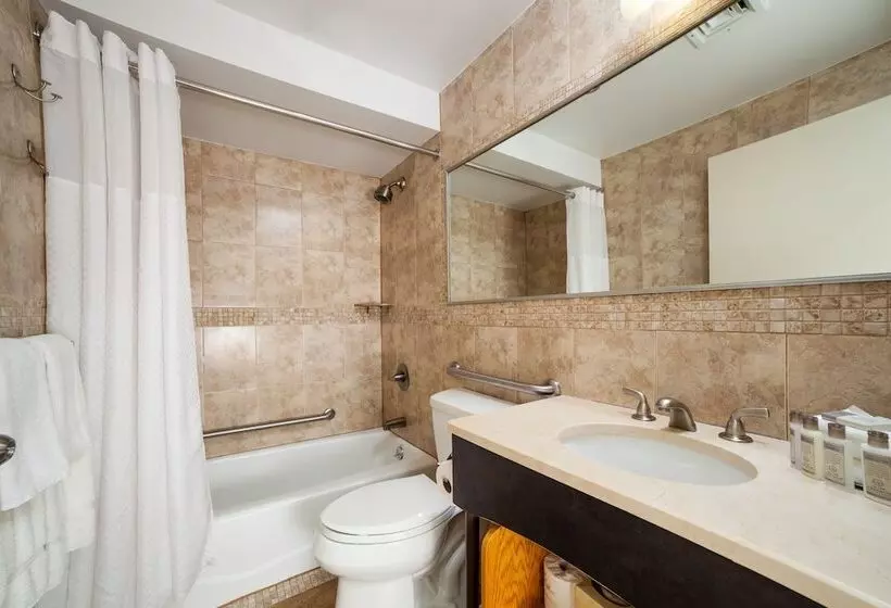 Fotos del hotel Hotel Mulberry:  20