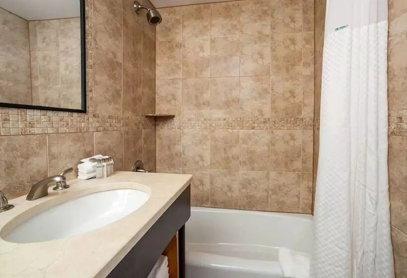 Fotos del hotel Hotel Mulberry:  9