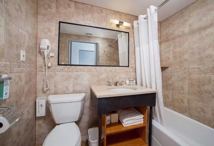 Fotos del hotel Hotel Mulberry:  21