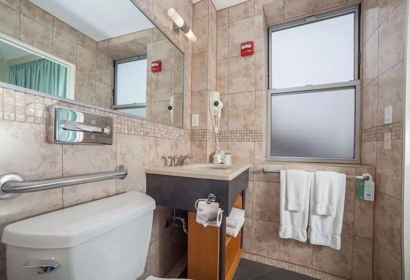 Fotos del hotel Hotel Mulberry:  24