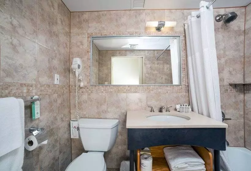 Fotos del hotel Hotel Mulberry:  25