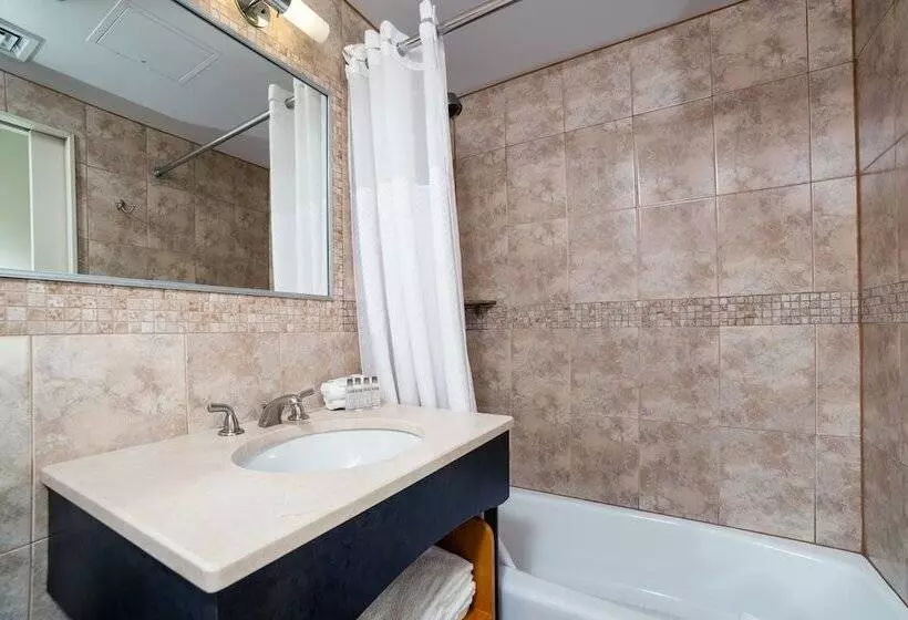 Fotos del hotel Hotel Mulberry:  12