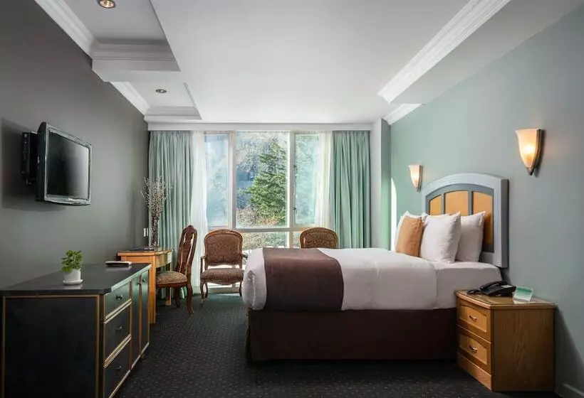 Fotos del hotel Hotel Mulberry:  11