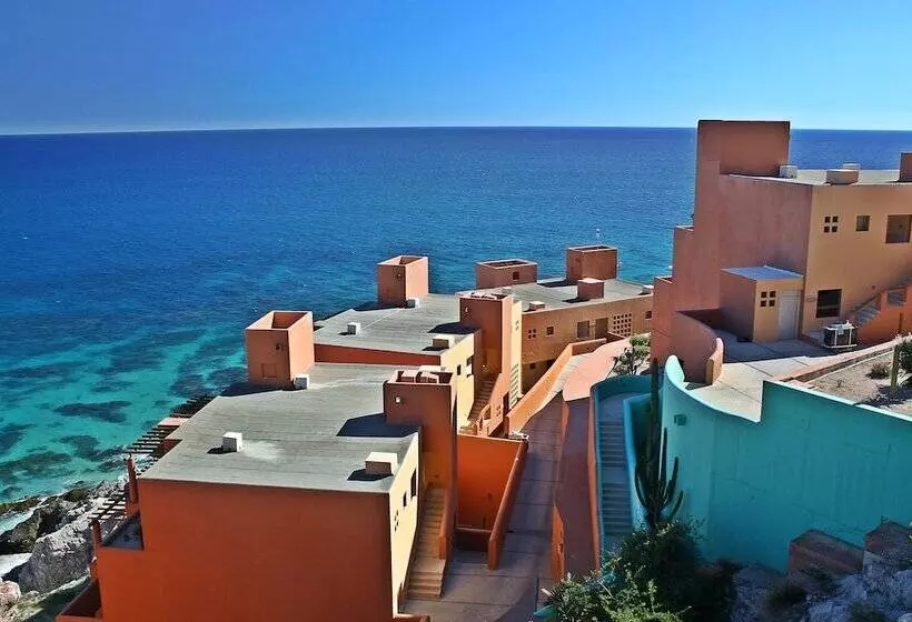 Fotos del hotel Club Regina Los Cabos:  14