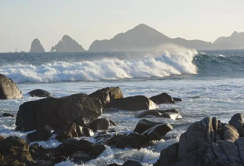 Fotos del hotel Club Regina Los Cabos:  4