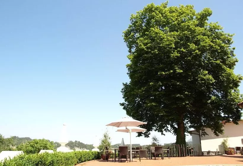 Fotos del hotel La Piconera  & Spa:  25