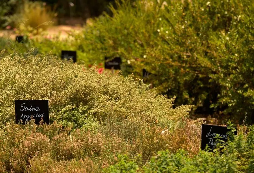 Fotos del hotel Minos Palace  & Suites – Adults Only:  17