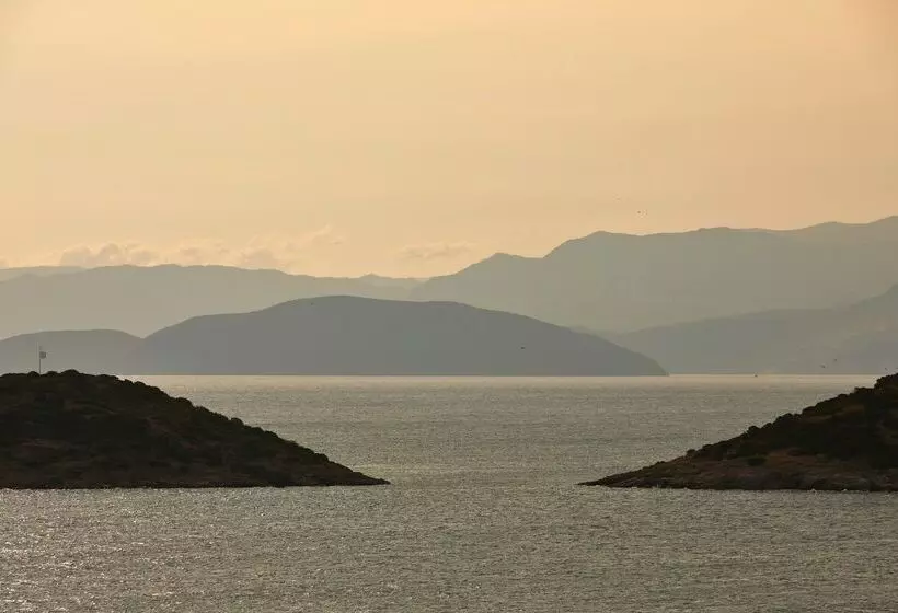 Fotos del hotel Minos Palace  & Suites – Adults Only:  22