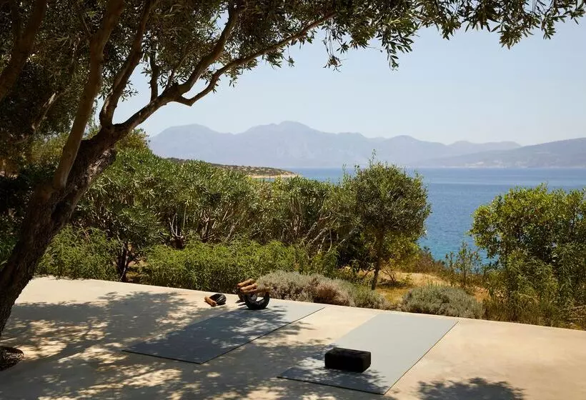 Fotos del hotel Minos Palace  & Suites – Adults Only:  21