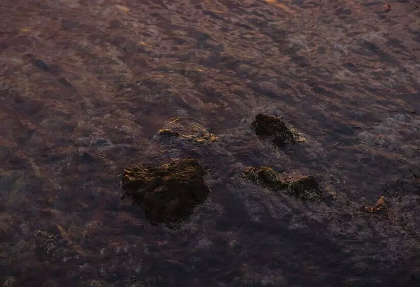 Fotos del hotel Minos Palace  & Suites – Adults Only:  5