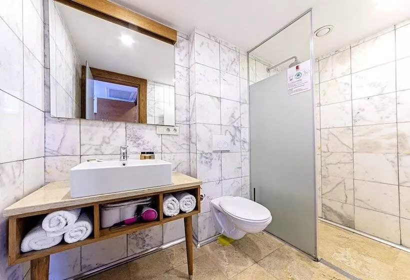 Fotos del hotel Neda Hotel Istanbul:  20