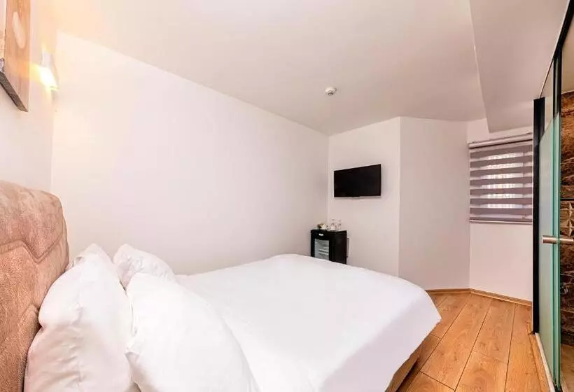 Fotos del hotel Neda Hotel Istanbul:  41