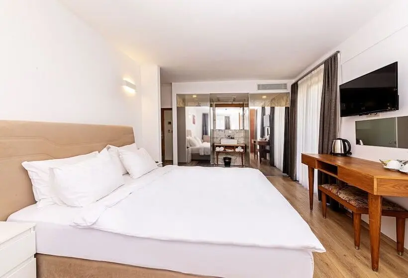 Fotos del hotel Neda Hotel Istanbul:  10