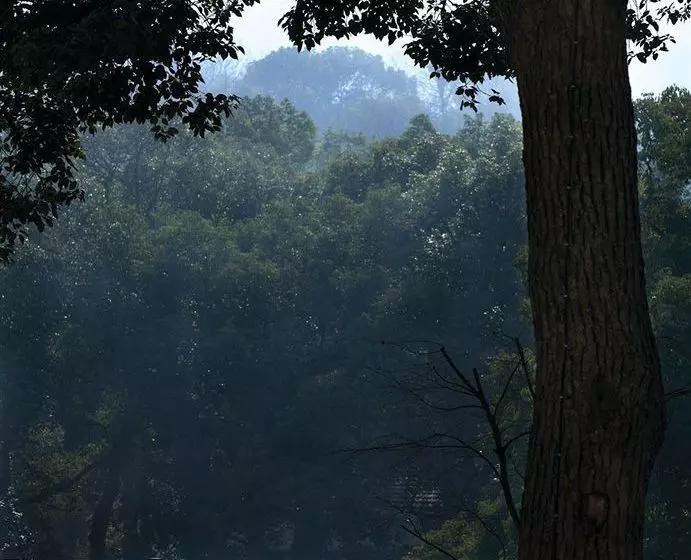 Fotos del hotel Landison Long Jing Resort:  3