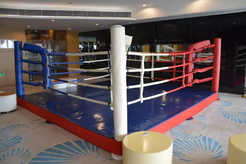 Fotos del hotel Somerset Riverview Chengdu:  18