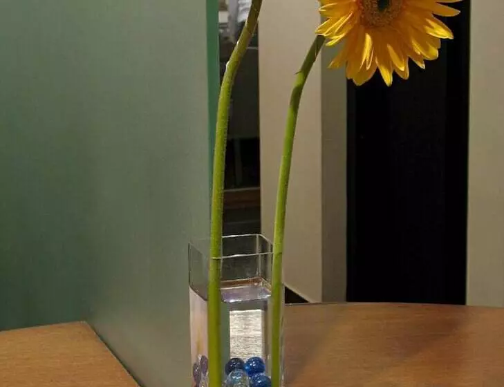 Fotos del hotel Studio Estique:  6