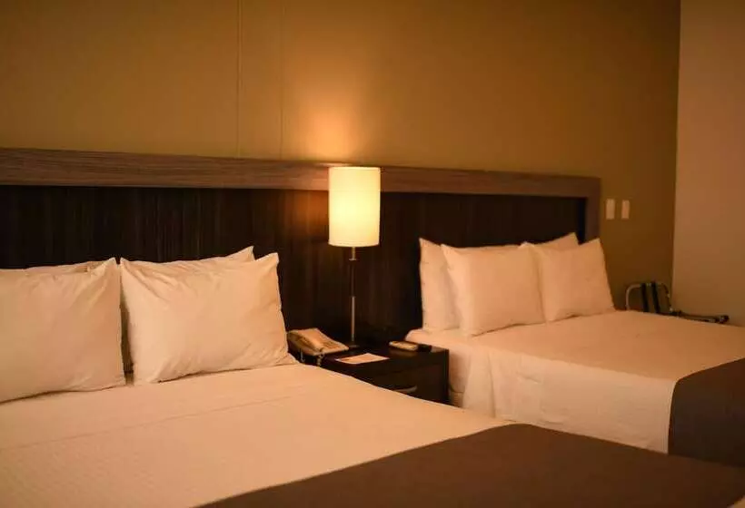 Fotos del hotel Mi  Sandiego:  88