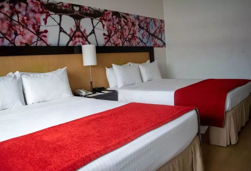Fotos del hotel Mi  Sandiego:  92