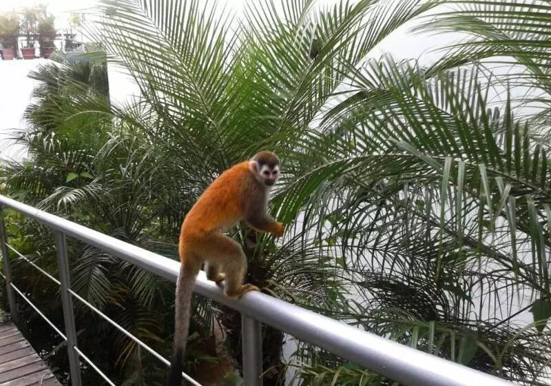 Fotos del hotel Gaia  & Reserve Adults Only:  25