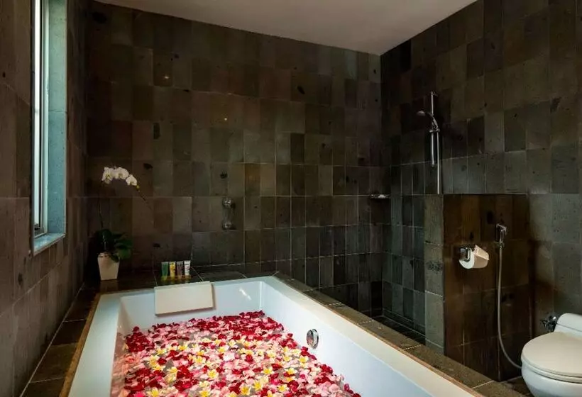 Fotos del hotel Bali Island Villas & Spa:  2