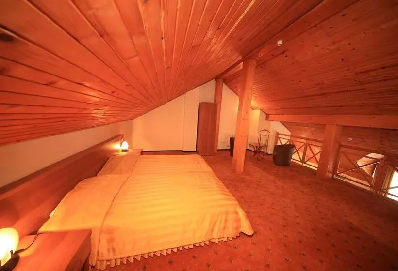 Fotos del hotel Bansko:  11