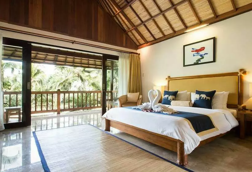 Fotos del hotel Mason Elephant Lodge:  24