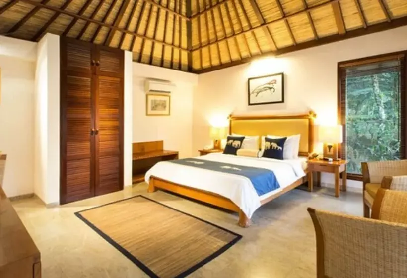 Fotos del hotel Mason Elephant Lodge:  18