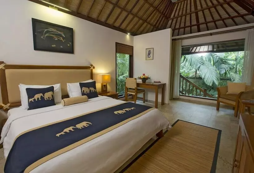 Fotos del hotel Mason Elephant Lodge:  10