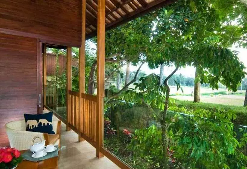 Fotos del hotel Mason Elephant Lodge:  16