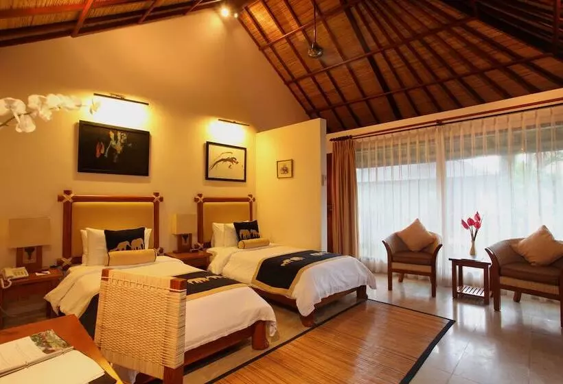 Mason Elephant Lodge