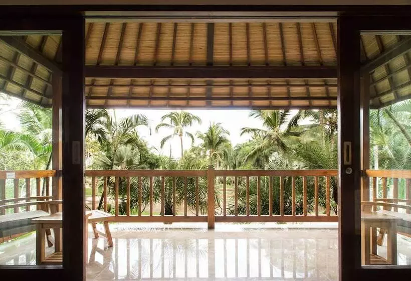 Fotos del hotel Mason Elephant Lodge:  14